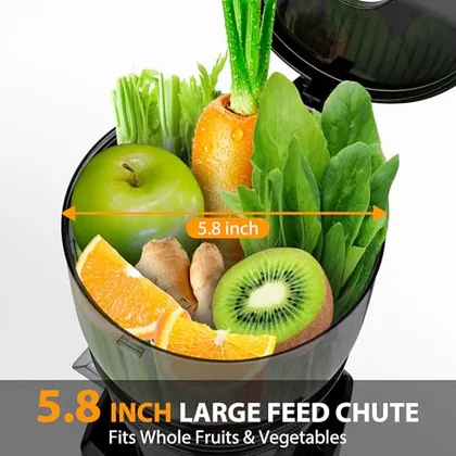 Cold Press Juicer, 1.8 L, Grey