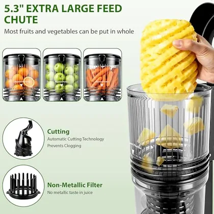 Cold Press Juicer, Grey